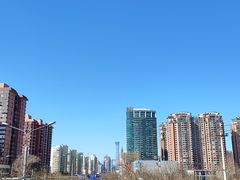 -旺顺阁·北京菜·烤鸭(大望路店)