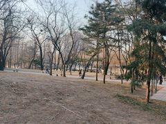 -元大都城垣遗址公园