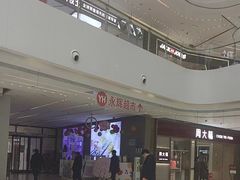 -阳光天地