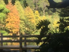 -云溪植物园