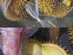 -红星农博物流中心