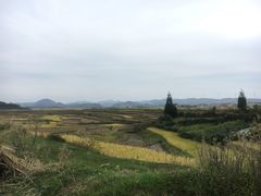 -贵州云顶草原民族风情园