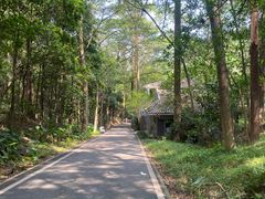 -滴水岩森林公园