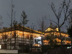 -洋湖国家湿地公园
