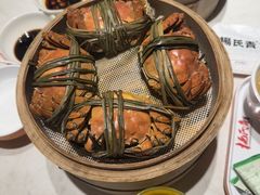 -杨氏青龙虾·羊蝎子(金盛路总店)