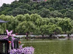 -北山公园
