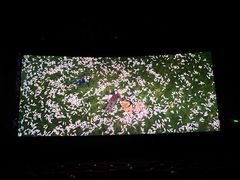 -武汉华夏国际影城(鲁广店)