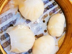 港式金牌虾饺-添好运点心专门店(深水埗店)