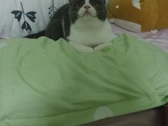 -有宠宠物(YOUCOIN·未来店)