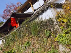 -塔川景区