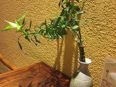 大堂-云来居素食馆(东门店)