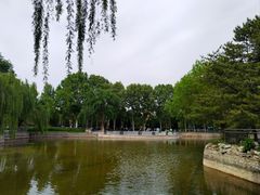 -黄村公园