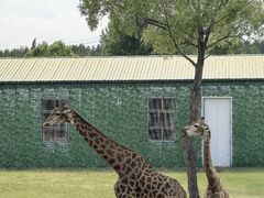 -鄂尔多斯野生动物园