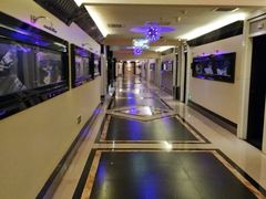 -东方之珠KTV娱乐超市(河北店)