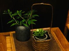 -湖滨客舍·湖北菜