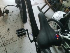 -道路口单车爱瓦士dahon大行