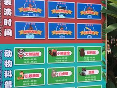 -灵玲国际马戏城