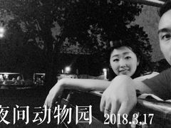 -清迈夜间动物园
