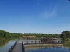 -大湾区中央湿地公园