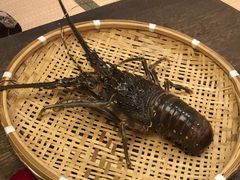 -空蝉怀石料理(益丰·外滩源店)