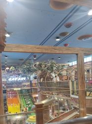 -卡通尼·Safari非洲探索乐园·生日会(金桥国际商业广场店)