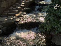 -中国茶叶博物馆(双峰馆区)