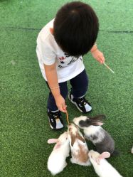 -萌宠亲子动物乐园(槐房万达店)