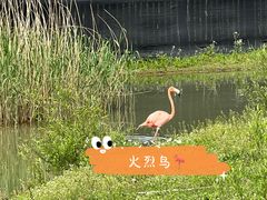 -上方山森林动物世界