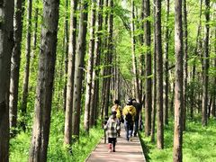 -同里国家湿地公园