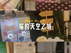 -猫的天空之城概念书店(苏州诚品店)