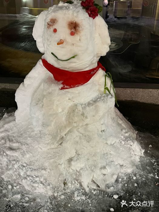 黄兴南路步行商业街图片