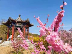 -北京西山国家森林公园