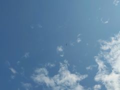 -东望洋炮台东望洋灯塔