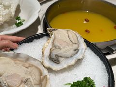 -汤城·料青山