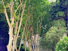 -西安市长乐公园