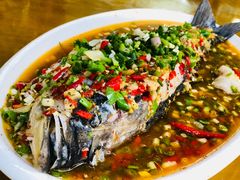 跳水花鲢-飞虹鱼馆(春华路店)