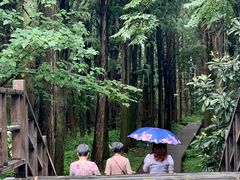 -同里国家湿地公园