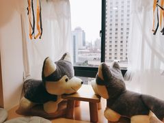 -Husky Go! 哈士奇体验馆·宠物咖啡厅狗咖