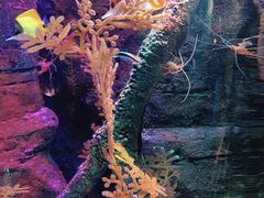 -沈阳海洋探索中心