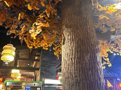 -蓉城老妈火锅(双林路店)