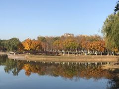 -大兴滨河森林公园