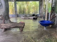 -海南热带野生动植物园