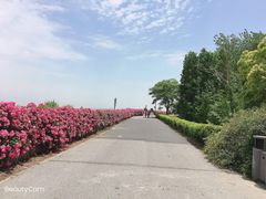 -上海滨江森林公园