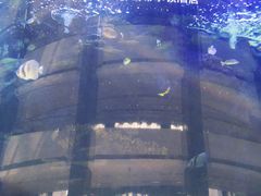 -OPEN開全日自助餐厅·牛肉火锅·海鲜(佛山希尔顿酒店)