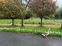 -青龙山国家森林公园