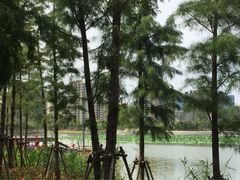 -南翔镇银翔湖公园