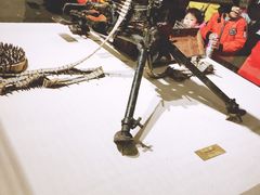 -台儿庄大战纪念馆