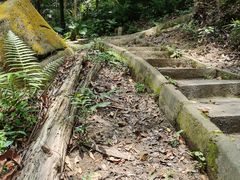 -火炉山森林公园