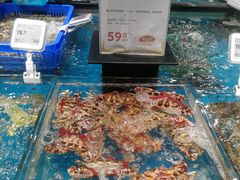 水产区-盒马鲜生(皇庭广场店)