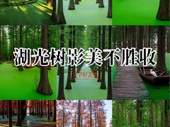-渌洋湖湿地公园